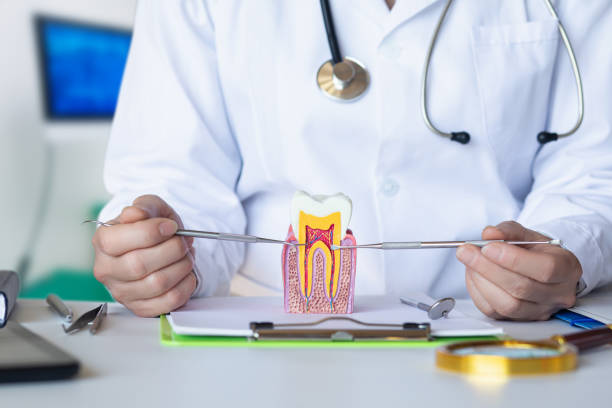 Best Urgent Dental Care for Toothache in Niles, MI